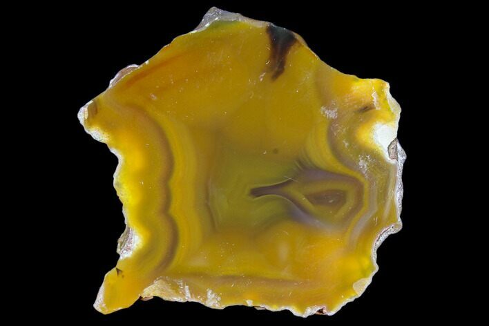 Beautiful Condor Agate From Argentina - Polished Face #79635